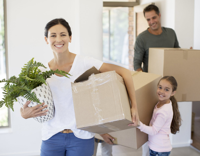 packing and moving services
